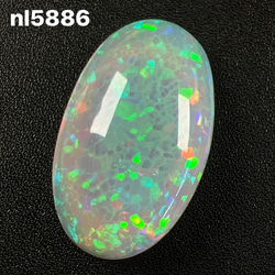 オパールトリプレット オパールトリプレットの情報