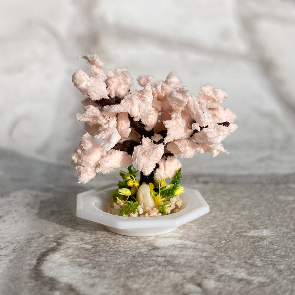 桜の木のミニチュア盆栽[皿] その他置物 MAME:nature 通販 15538486