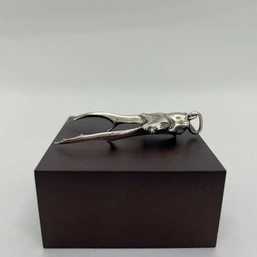 インペラトールホソアカクワガタ 標本 カラーバリエーションも魅力！ インペラトールホソアカクワガタ