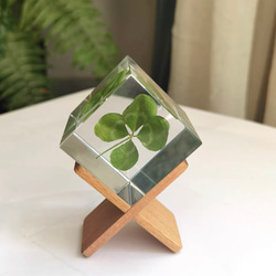 cd5f342e09d148064ae0f7be4a15d4