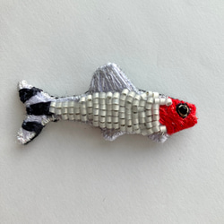 熱帯魚　"ラミーノーズテトラ"刺繍ビーズブローチ　魚モチーフ　軽いブローチ 9枚目の画像