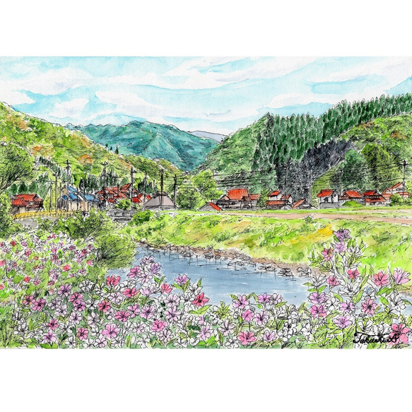 水彩画 野の花 サツ子 e7919161d9801fe117621e426fbc02