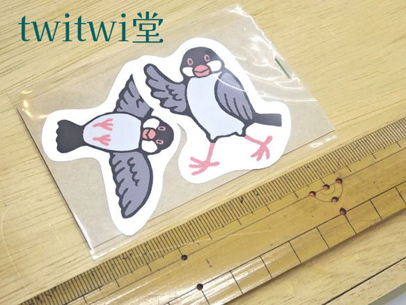 耐水＆耐UV文鳥ステッカー(2枚入)① 3枚目の画像