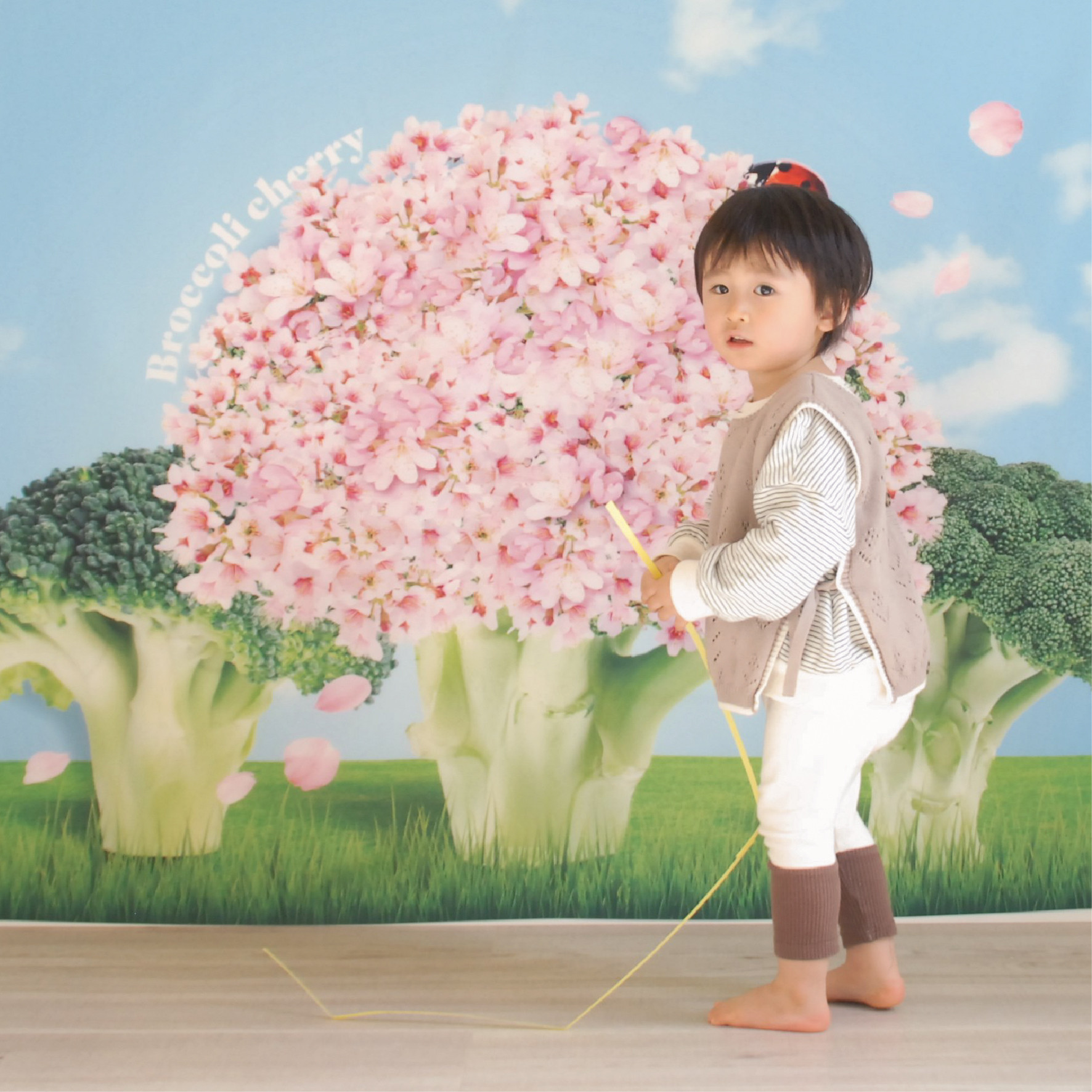 asa＊ランチョンマット　お花とりぼん　オーダーページ