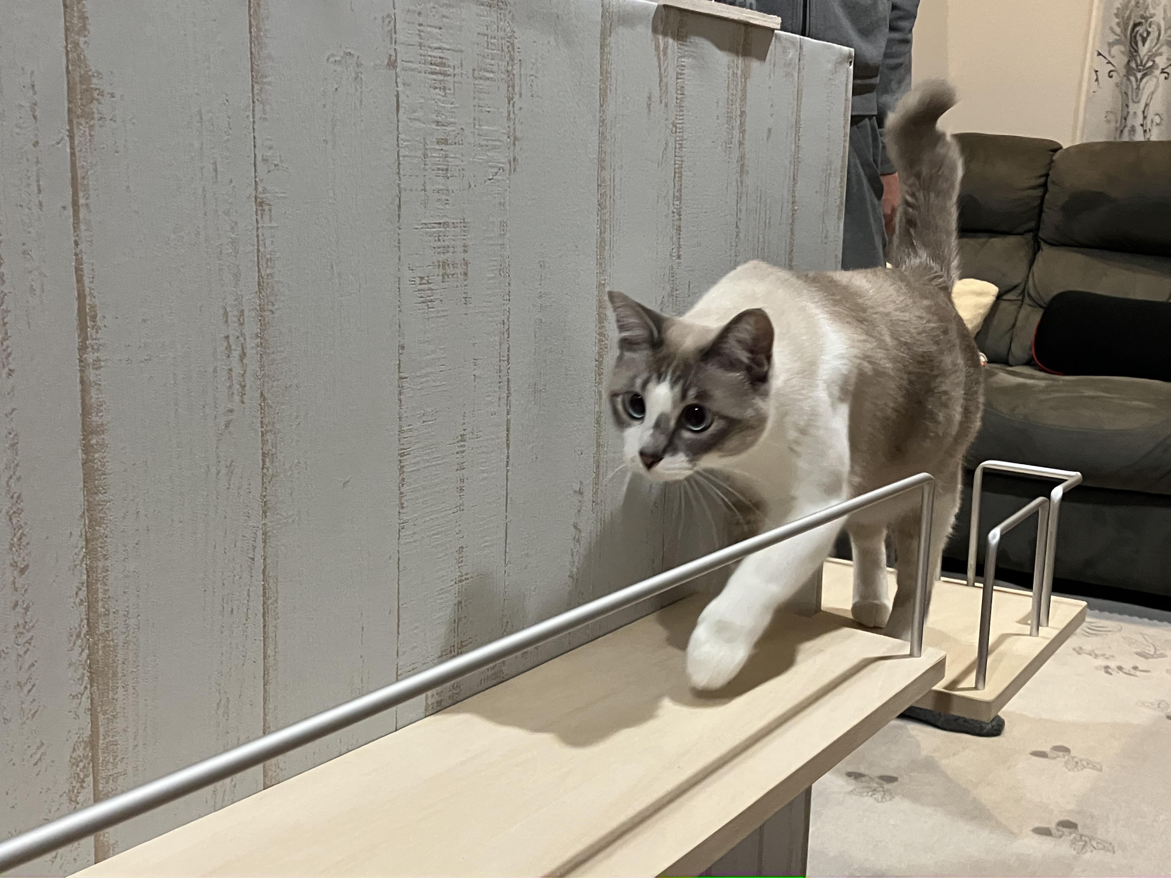 キャットウォーク手すり付きストレートスロープ