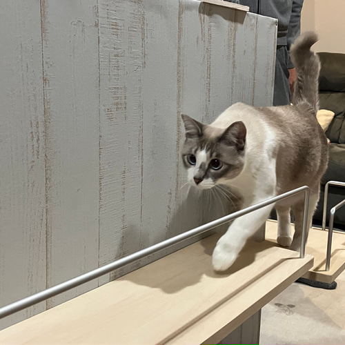 素敵な キャットステップ （キャットステップDIYの ハンドメイド 柵付き その他