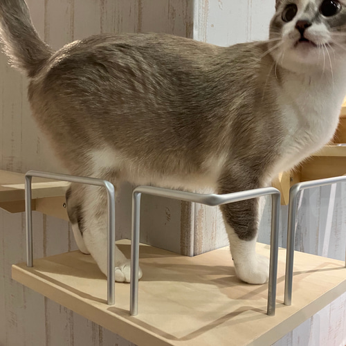 キャットウォーク手すり付きコーナー出隅 ハウス・小屋 masa 通販