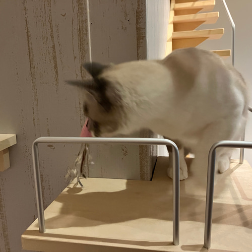 キャットウォーク手すり付きコーナー出隅 ハウス・小屋 masa 通販