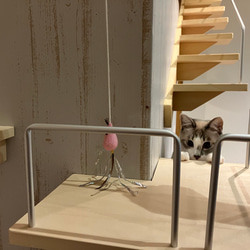 キャットウォーク、手すり付き螺旋階段、猫ちゃんも安心、軽量設計、3