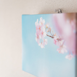 キャンバス風アートパネル　桜 春の風景　ファブリック調インテリア　写真のある暮らし 4枚目の画像