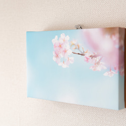 キャンバス風アートパネル　桜 春の風景　ファブリック調インテリア　写真のある暮らし 3枚目の画像