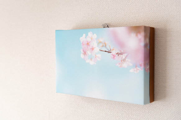 キャンバス風アートパネル　桜 春の風景　ファブリック調インテリア　写真のある暮らし 3枚目の画像