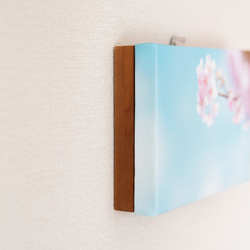キャンバス風アートパネル　桜 春の風景　ファブリック調インテリア　写真のある暮らし 5枚目の画像