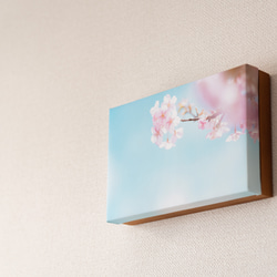 キャンバス風アートパネル　桜 春の風景　ファブリック調インテリア　写真のある暮らし 6枚目の画像