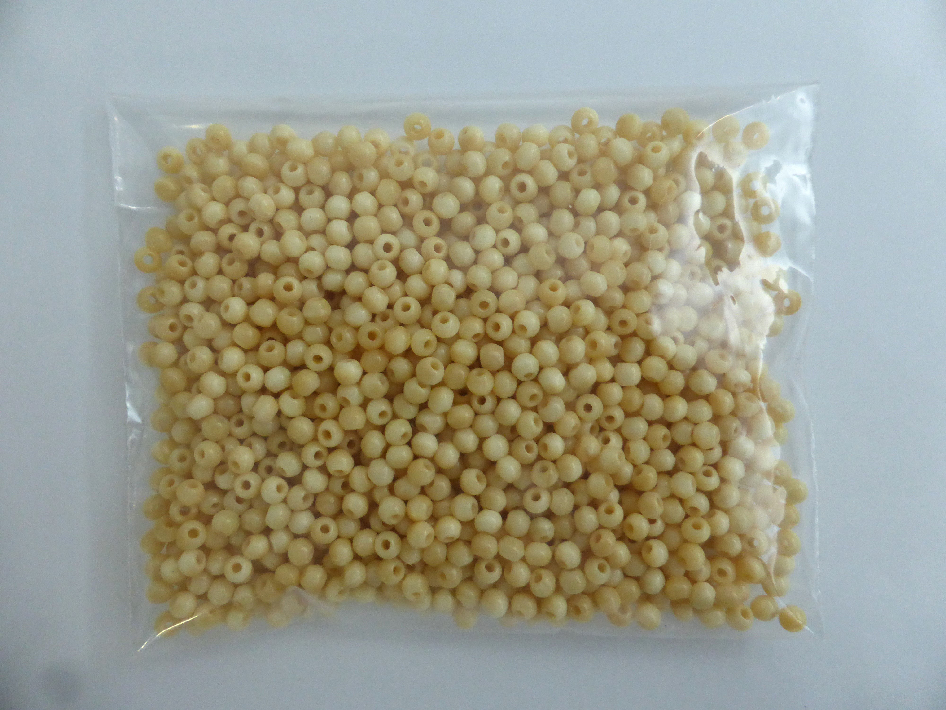 鯨歯玉 美品 ネックレス 大玉 鯨歯 抹香鯨歯 クジラ　 本鯨歯 マッコウ