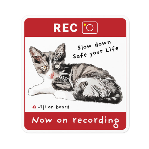 ドラレコ録画中」愛猫ステッカー(レッド) 作れます！【オーダーメイド 