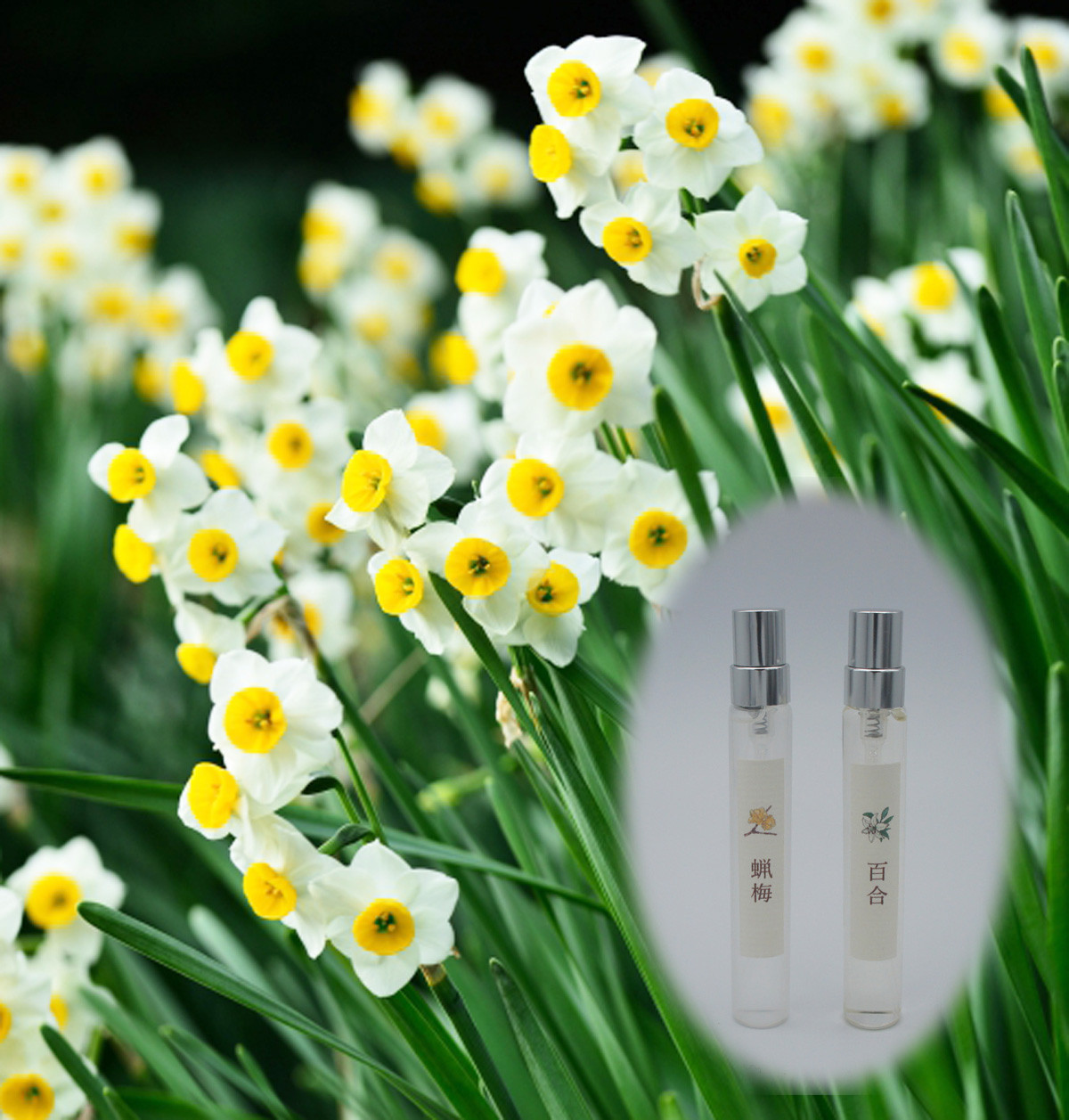 ”重ねて水仙の香り　百合＆蝋梅セット”　10ml 生花の香りの再現　生花のミストスプレー　ファブリックミスト
