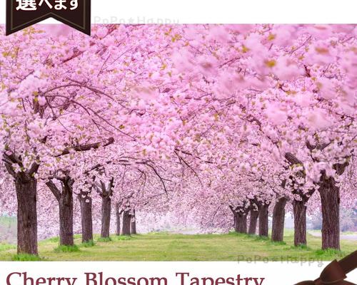 新入荷 桜並木 春 タペストリー 背景布 日本の四季 省エネ 省スペース