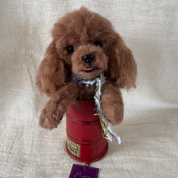 トイプードル 羊毛フェルト のおすすめ人気通販｜Creema(クリーマ