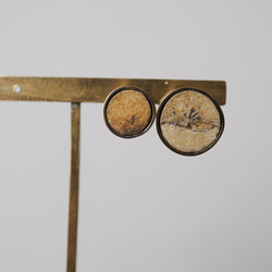 dendrite brass pierce (yoi to yowa) 7枚目の画像
