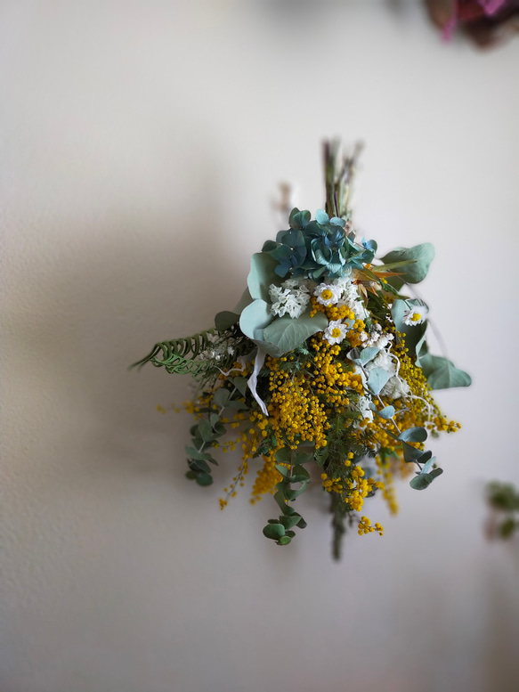 春色ミモザとユーカリと紫陽花のドライフラワースワッグ（受注製作） 9枚目の画像