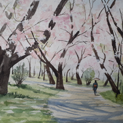 水彩画 満開のサクラ 絵画 makochin 通販 15543770｜Creema