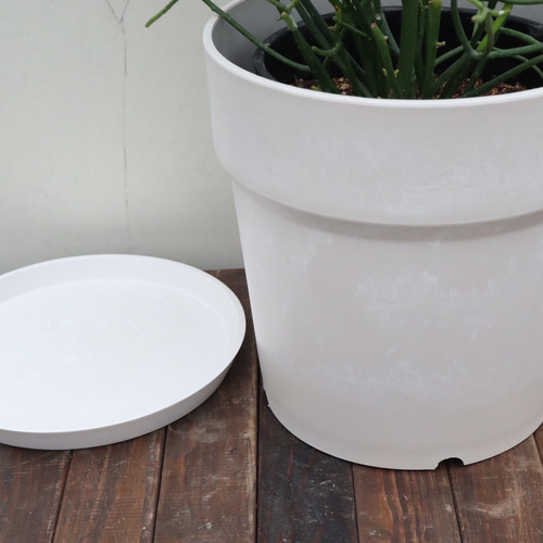 ミルクブッシュ☆選べるオシャレなプラ鉢☆鉢皿付き☆ アート