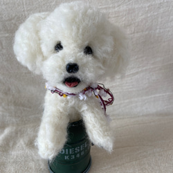 トイプードル　白　羊毛　羊毛フェルト　羊毛犬　プレゼント 5枚目の画像