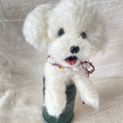 トイプードル　白　羊毛　羊毛フェルト　羊毛犬　プレゼント 4枚目の画像