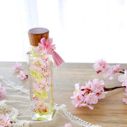 桜のハーバリウム（角瓶） 2枚目の画像
