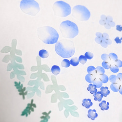 Nemophila Shararin*bijou 耳環/耳環，鮮花，藍色，春天，禮物 第14張的照片