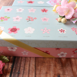 ☆春のギフトに☆数量限定☆桜咲くBOX☆新作「さくらケーキ９個入り」 6枚目の画像