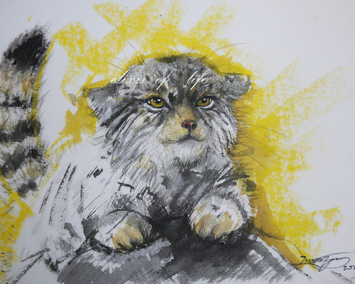 アクリル画　マヌルネコ 0b8b30d7fabaae18ce3f5458f18681