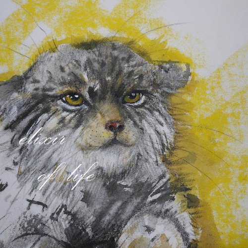 マヌルネコ2023（墨絵、厚い和紙31，5cm×23，4cm、墨