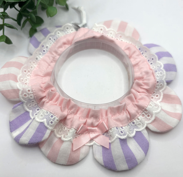 猫首輪　ザビエル首輪　子猫ちゃん用３０枚 猫首輪ザビエル首輪子猫ちゃん用30枚