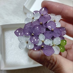 本物の紫陽花アナベルブローチクリップ　ヘアクリップ　帯留め　コサージュ　パープル&ホワイト 5枚目の画像