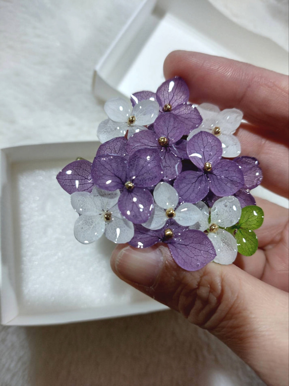 本物の紫陽花アナベルブローチクリップ　ヘアクリップ　帯留め　コサージュ　パープル&ホワイト 5枚目の画像