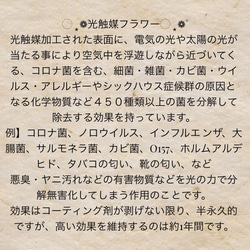 光触媒　ロココ調　ハンドメイド　フラワーアレンジ　フロリアーヌ 9枚目の画像