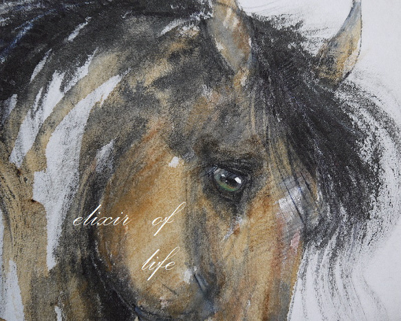 淡い茶色の馬のポートレート２０２３（墨絵、厚い和紙３１，５ｃｍ×２３，４ｃｍ、墨、パステル、アクリル） 2枚目の画像