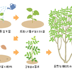  第12張的照片