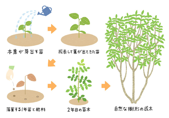  第12張的照片