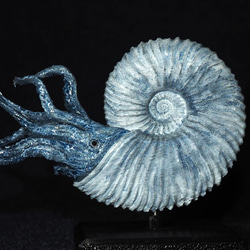 メタプラセンチセラスの模型 大きさ6cm その他置物 syu3zouk