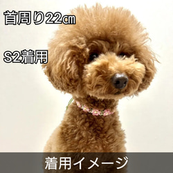 犬用チョーカー 首飾り☆ローズピンク×ピスタチオ 3枚目の画像