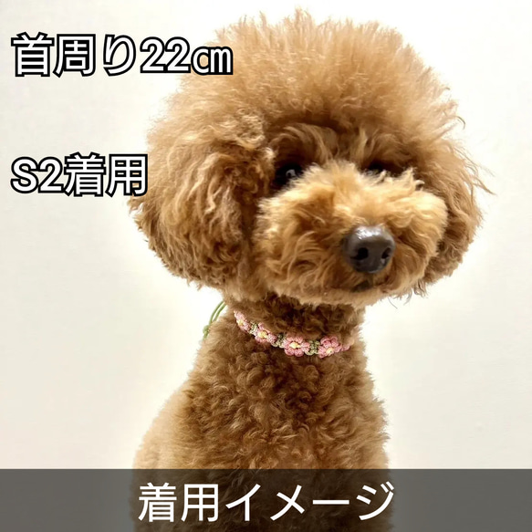 犬用チョーカー 首飾り☆ローズピンク×ピスタチオ 3枚目の画像