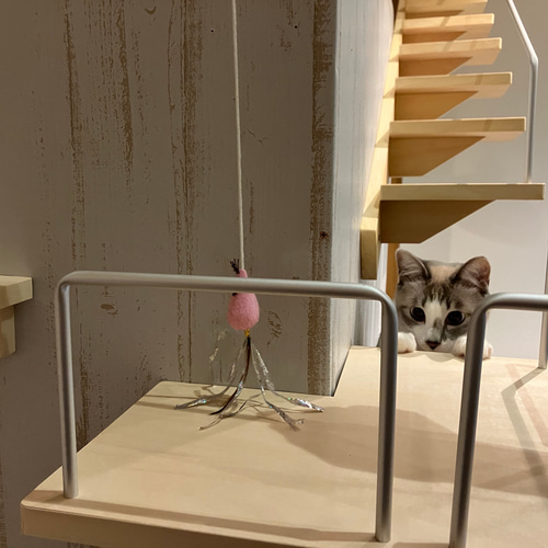 キャットウォーク、手すり付き階段、 ハウス・小屋 masa 通販 15546570