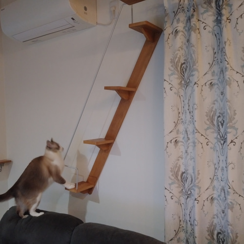 キャットウォーク、手すり付き階段、ねこちゃんもあんしん、軽量設計 キャットウォーク、手すり付き螺旋階段、ねこちゃんもあんしん