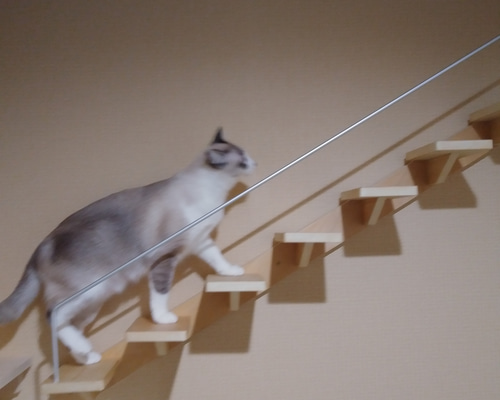 キャットウォーク、手すり付き階段、ねこちゃんもあんしん、軽量設計 キャットウォーク、手すり付き階段、ねこちゃんもあんしん、軽量