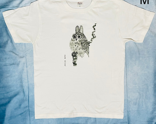 ad0f23d8fc541eee6852663267887f