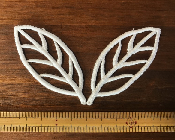  第3張的照片