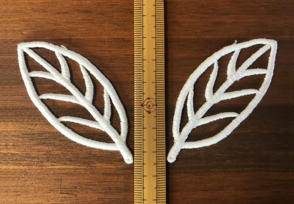  第2張的照片